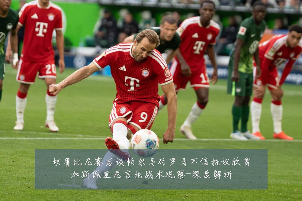切鲁比尼赛后谈帕尔马对罗马不信抗议欣赏加斯佩里尼言论战术观察-深度解析